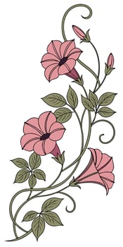 close-up the flowers of the Impatiens flower arranged beautifully and decorated with vines vector
