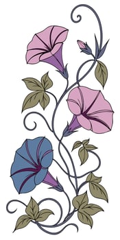 close-up the flowers of the Morning Glory flower arranged beautifully and decorated with vines vector
