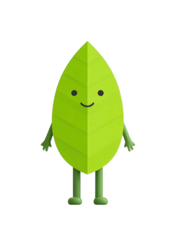 Smiling leaf cartoon character with arms and legs png