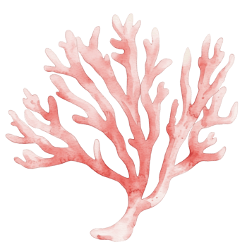 Vibrant watercolor coral illustration showcasing the beauty of ocean life and marine ecosystems png