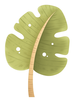 Cartoon monstera leaf illustration png