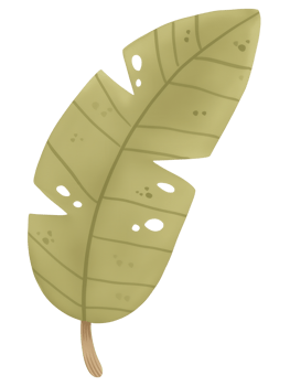 Green tropical leaf with distinctive shapes and textures against a plain background in a minimalistic design png