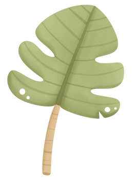 Green monstera leaf illustration with distinctive shape and texture featuring a light green color palette and stylized details png