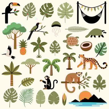 Tropical plants and animals illustration vector