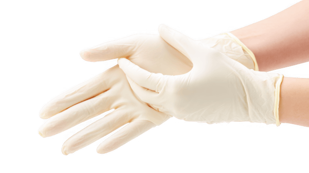 Doctor wearing sterile latex gloves on transparent background png