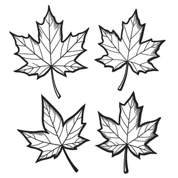 Four simple outlined maple leaves illustration for seasonal decorations and autumn designs vector