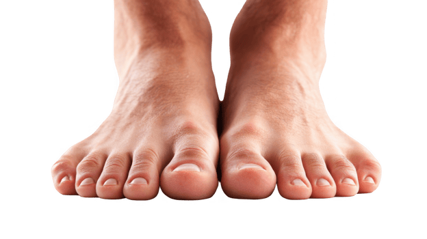Healthy feet showing clean toenails on transparent background png