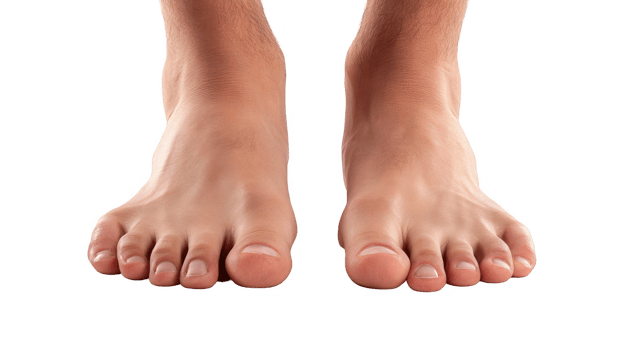 Healthy male feet showing toenails and skin on transparent background png