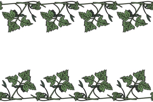 Botanical floral horizontal border with grapevine isolated on white background. Hand drawn vine plant with long stem and green leaves illustration. Graphic design element for Banner Birthday Wedding vector