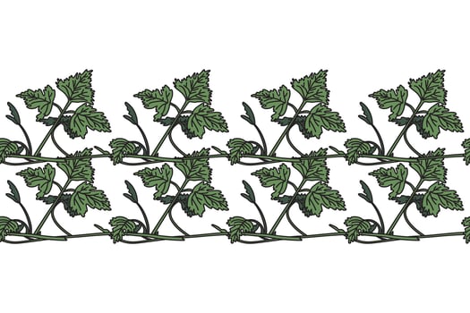 Botanical floral horizontal border with grapevine isolated on white background. Hand drawn vine plant with long stem and green leaves illustration. Graphic design element for Birthday Wedding vector