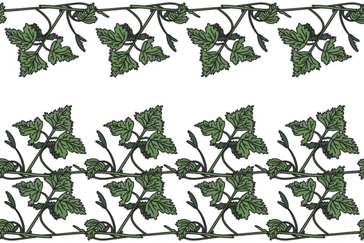Botanical floral horizontal border with grapevine isolated on white background. Hand drawn vine plant with long stem and green leaves illustration. Graphic design element for Birthday Wedding Card vector