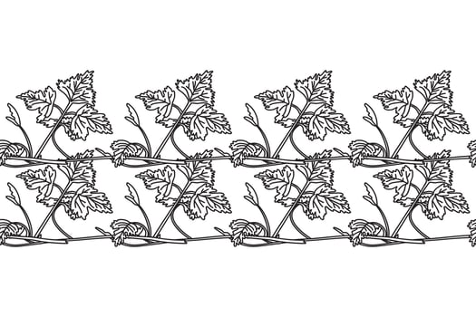 Line art botanical floral horizontal border with grapevine isolated on white background. Hand drawn outline vine plant with long stem and leaves illustration.Graphic design element for Birthday vector