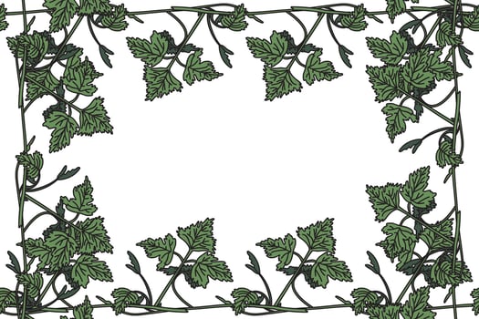 Botanical floral frame with grapevine isolated on white background. Hand drawn vine plant with long stem and green leaves illustration. Graphic design element for Birthday Wedding Greeting Card vector