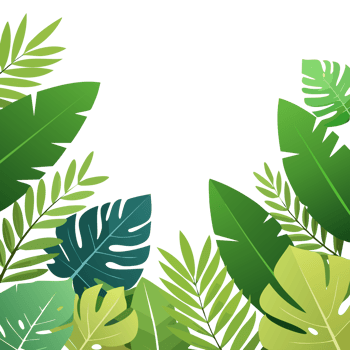 A green leafy background with a bunch of green leaves. The leaves are of different sizes and shapes png