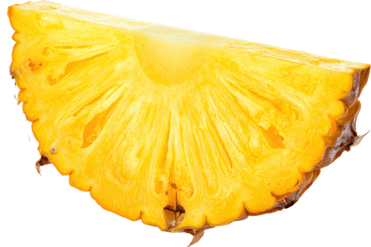 Close up of a juicy pineapple slice vibrant yellow flesh isolated fruit png