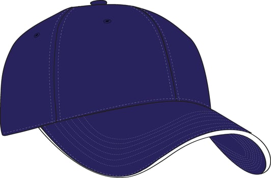 Navy blue baseball cap design vector