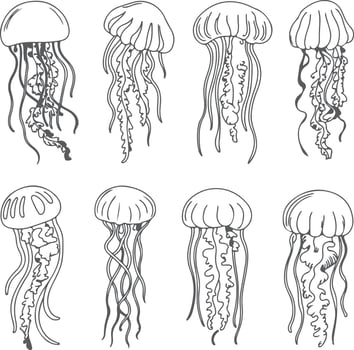 Eight Gray Scale Jellyfish Silhouette Illustrations Detailed Line Art Drawings Aquatic Ocean Life Sea Creatures Marine Animals Underwater World vector