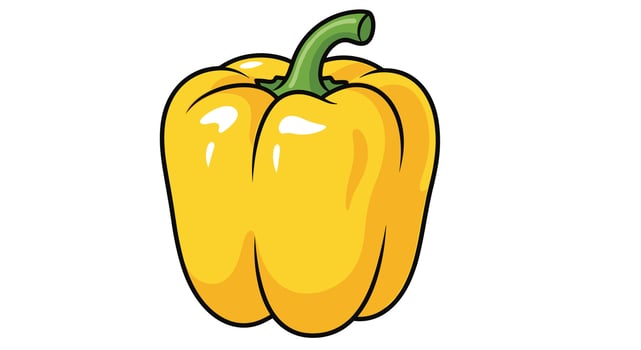 A yellow pepper on a white background vector