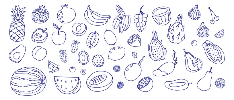 Colorful hand-drawn fruits arranged artistically on a white background showcasing variety and detail vector