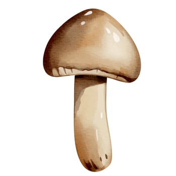 Watercolor forest mushroom. Hand drawn autumnal illustration perfect for autumn nature design. vector