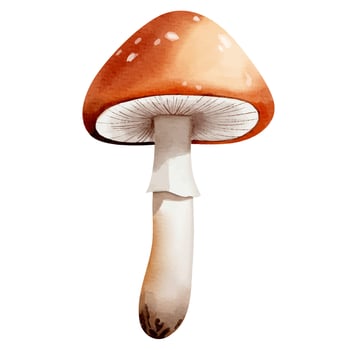 Watercolor forest mushroom. Hand drawn fall illustration perfect for autumn nature design. vector