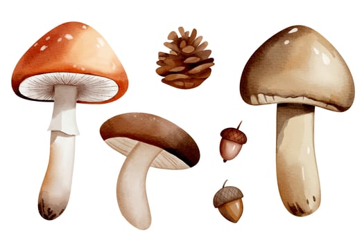Watercolor mushrooms and nature elements vector