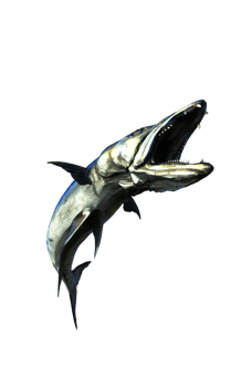 Barracuda Predator of the Deep png