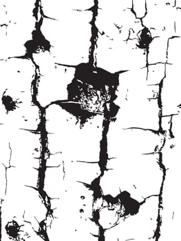 Dramatic Crackle Texture Black and White Abstract Art vector