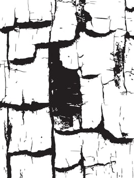 Cracked Texture Abstract Black and White Pattern Background vector