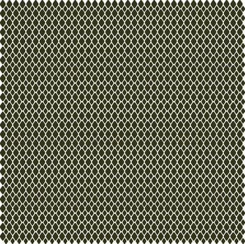 Snake Scale Pattern vector