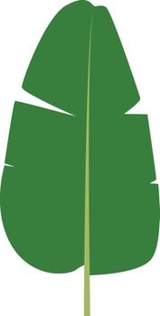 Tropical Leaves Clipart Isolated on White Background vector