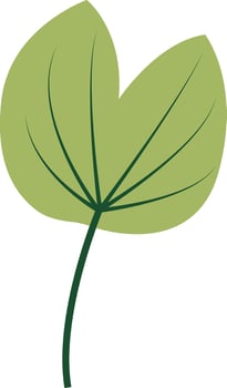 Tropical Leaves Clipart, Isolated on White Background, vector