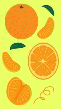 Hand-drawn illustration of Mandarin oranges with leaves - fresh, juicy orange fruits in a cute and playful cartoon style on light yellow background vector