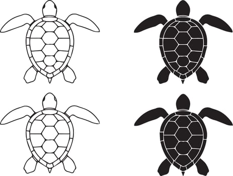 Turtle illustration set outlined and filled sea creature animals isolated on white vector