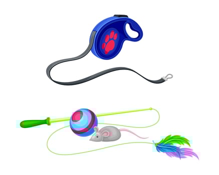 Leash for pets and toys set. Accessory for pet animals cartoon illustration vector