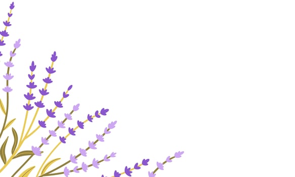Frame of fresh flowers of purple lavender on white background. Hand drawn flat illustration . Perfect for decorative greeting or invitation card, logo vector