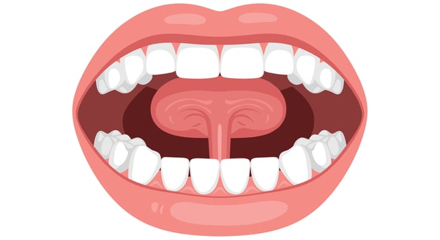 Comprehensive Analysis of Oral Health Anatomy Physiology and Common Disorders for Medical Professionals vector