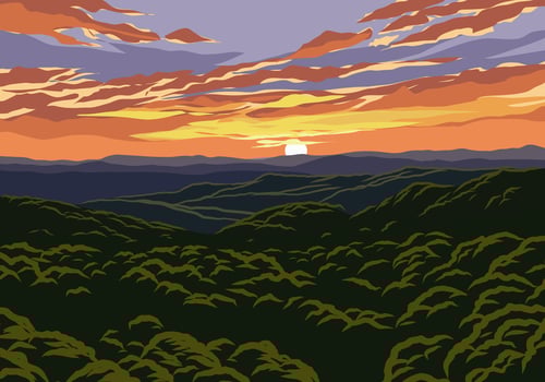Forest sunset aerial vector