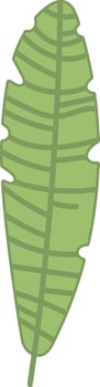 Tropical Leaf with Bold Lines vector