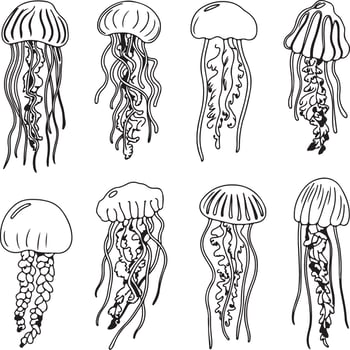 Eight Black and White Jellyfish Silhouette Illustrations Diverse Designs Detailed Line Art Aquatic Life Ocean Wildlife Sea Creatures Underwater vector