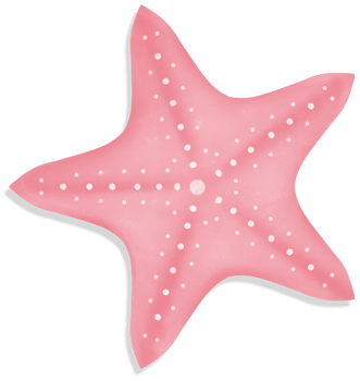 A pink starfish cartoon illustration png
