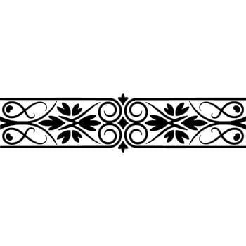 Elegant Black Floral Border on White Backdrop - Ornament vector