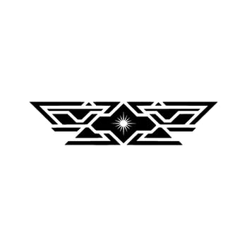 Geometric Starburst Minimalist with Black and White vector