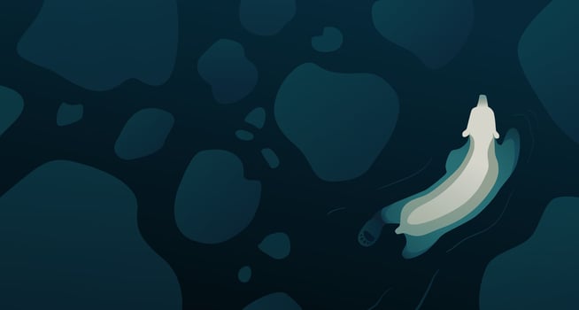 Swimming animal in abstract water illustration vector