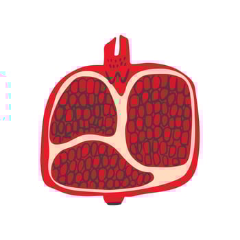 Juicy pomegranate modern flat illustration on white background. Ripe exotic fruit cut in half showing the seeds. vector