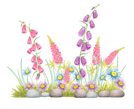 Garden border with foxgloves, lupins, daisies, and grass painted in watercolor illustration. Botanical wildflower clipart for spring banner designs, eco-product packaging, or scrapbooking pages png