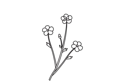 Line art botanical floral meadow bouquet doodle isolated on white background. Hand drawn outline three wildflower plant with flowers illustration. Graphic design element for Birthday Wedding vector