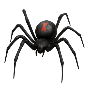 Realistic 3D Black Widow Spider Model for Creative Projects png
