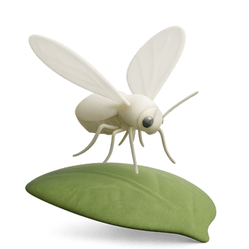 3D Model of a Whitefly Hovering Above a Leaf png