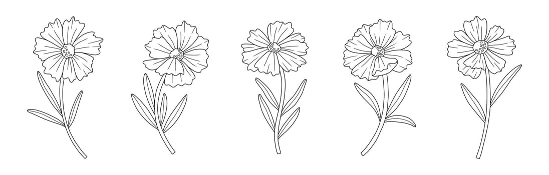 Wildflowers coreopsis set, line art style, illustration vector